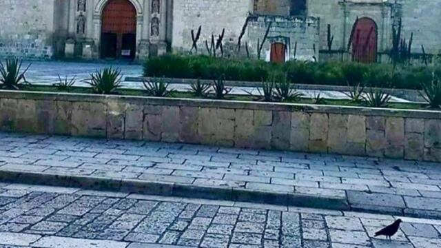 Al fin conocí Oaxaca/Héctor Palacio
