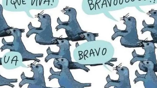 Focas aplaudidoras/Internet