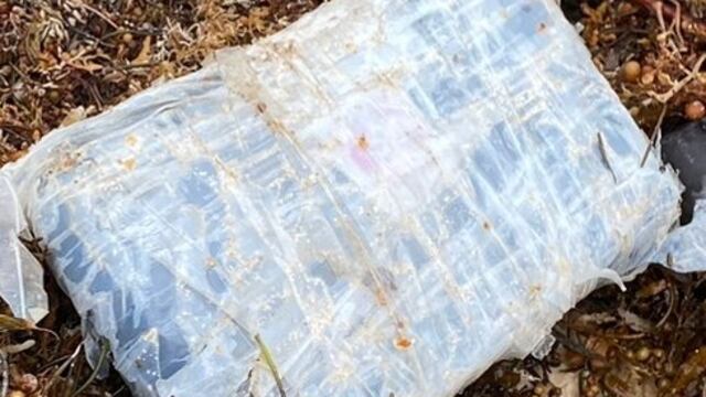 Guardia Nacional localiza paquete con cocaína en playas de Quintana Roo