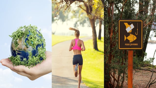 ¿Qué se celebra el 5 de junio? Hoy es Día Mundial del Medio Ambiente, Día Mundial del Corredor y Día Internacional de la Lucha contra la Pesca Ilegal no declarada y no recalentada