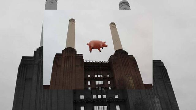 Algie, el mítico cerdo del disco Animals de Pink Floyd