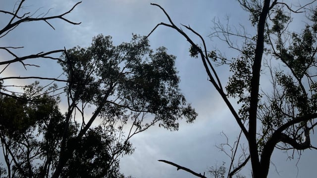 Halo solar en la CDMX