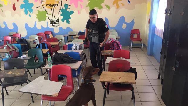 Revisiones al interior del Colegio Cervantes.