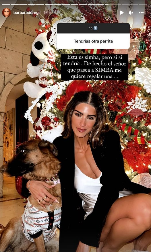 Bárbara de Regil podría tener pronto otro perrito.