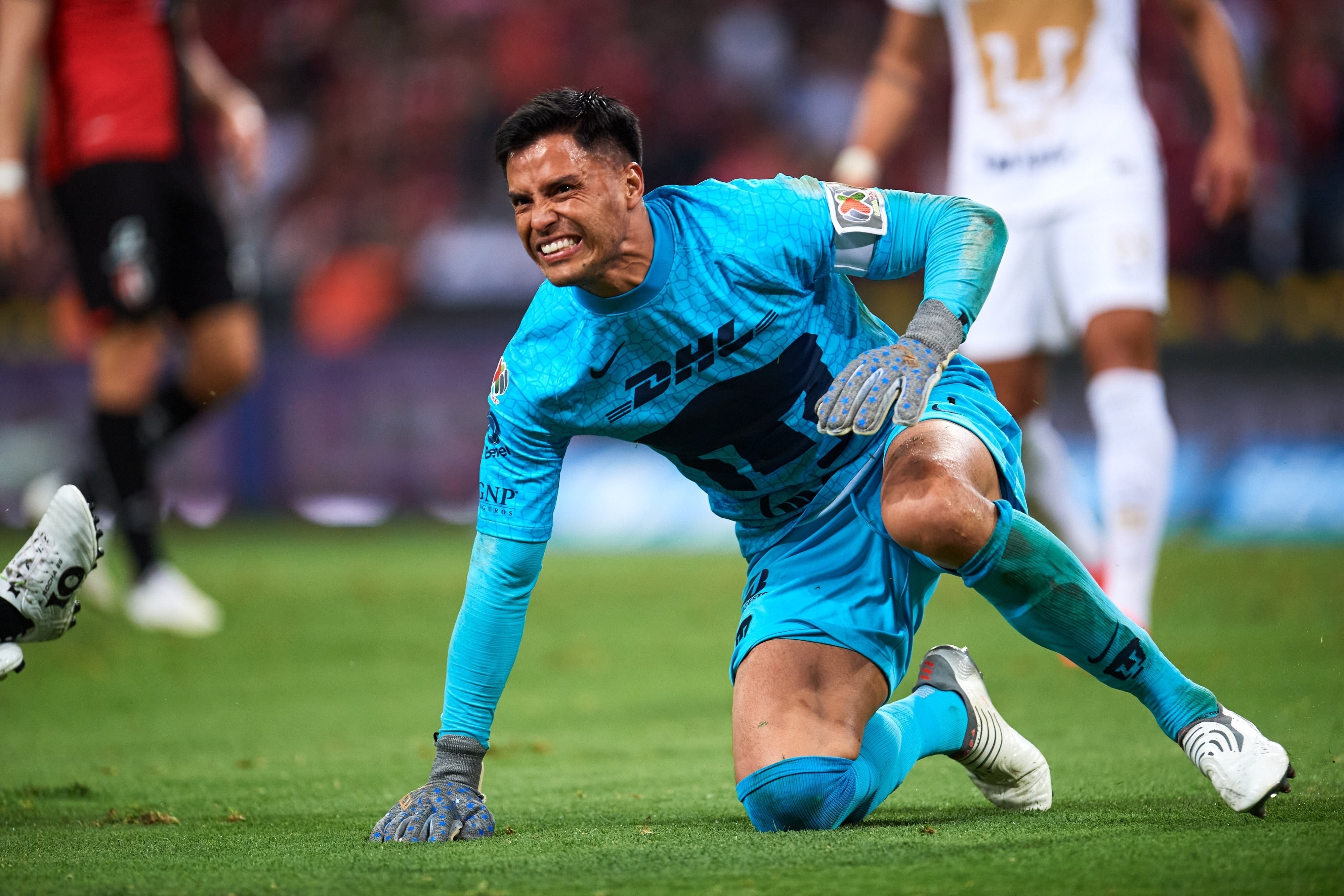 Alfredo Talavera