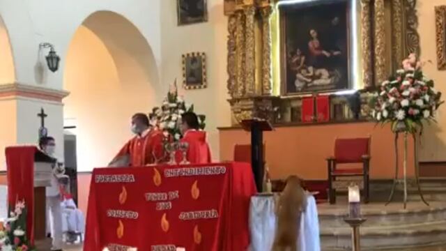 Perrito robando pan de una iglesia
