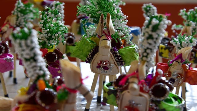 Día de las Mulas 2024