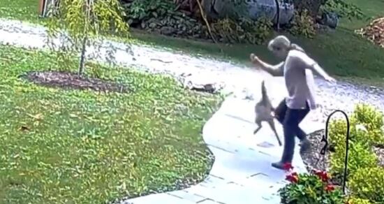 Mujer pelea con zorro