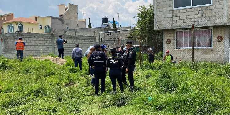 Denuncian a mata perros en Toluca; acusan que se comió a uno