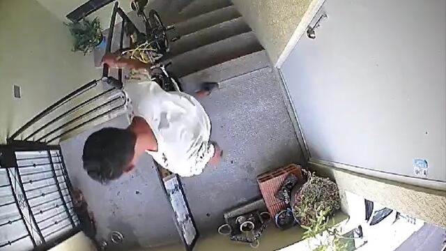 Hombre arroja a perrita desde tercer piso en Huejotzingo