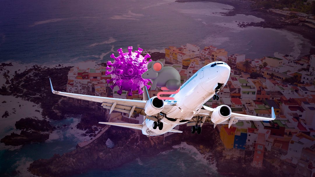 Primer avión con evacuados por hantavirus sale de Islas Canarias