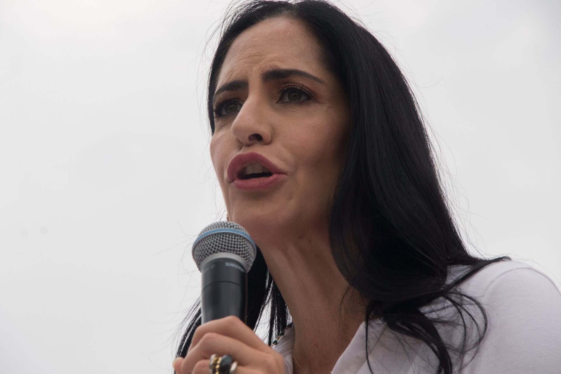Lía Limón