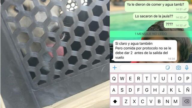 Denuncian maltrato animal a perro que viajó con Volaris