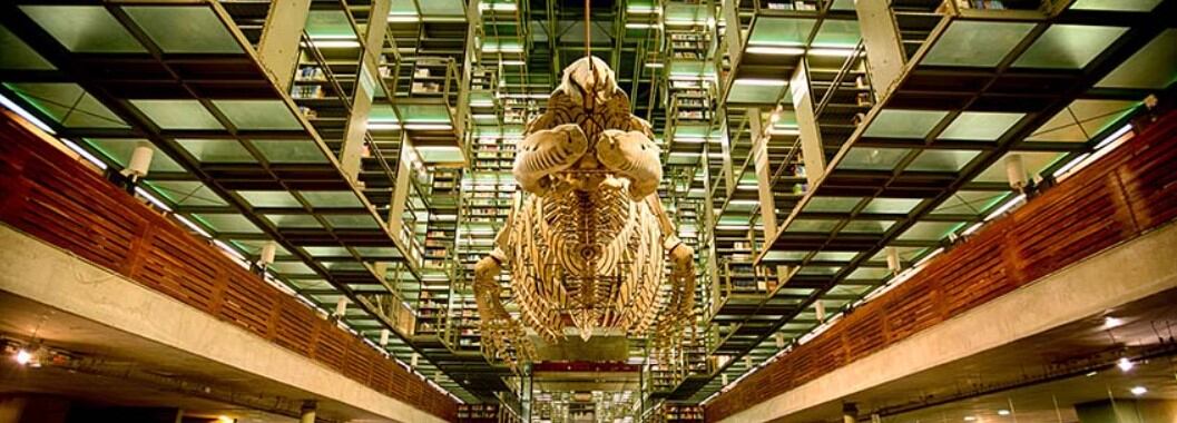 Biblioteca Vasconcelos