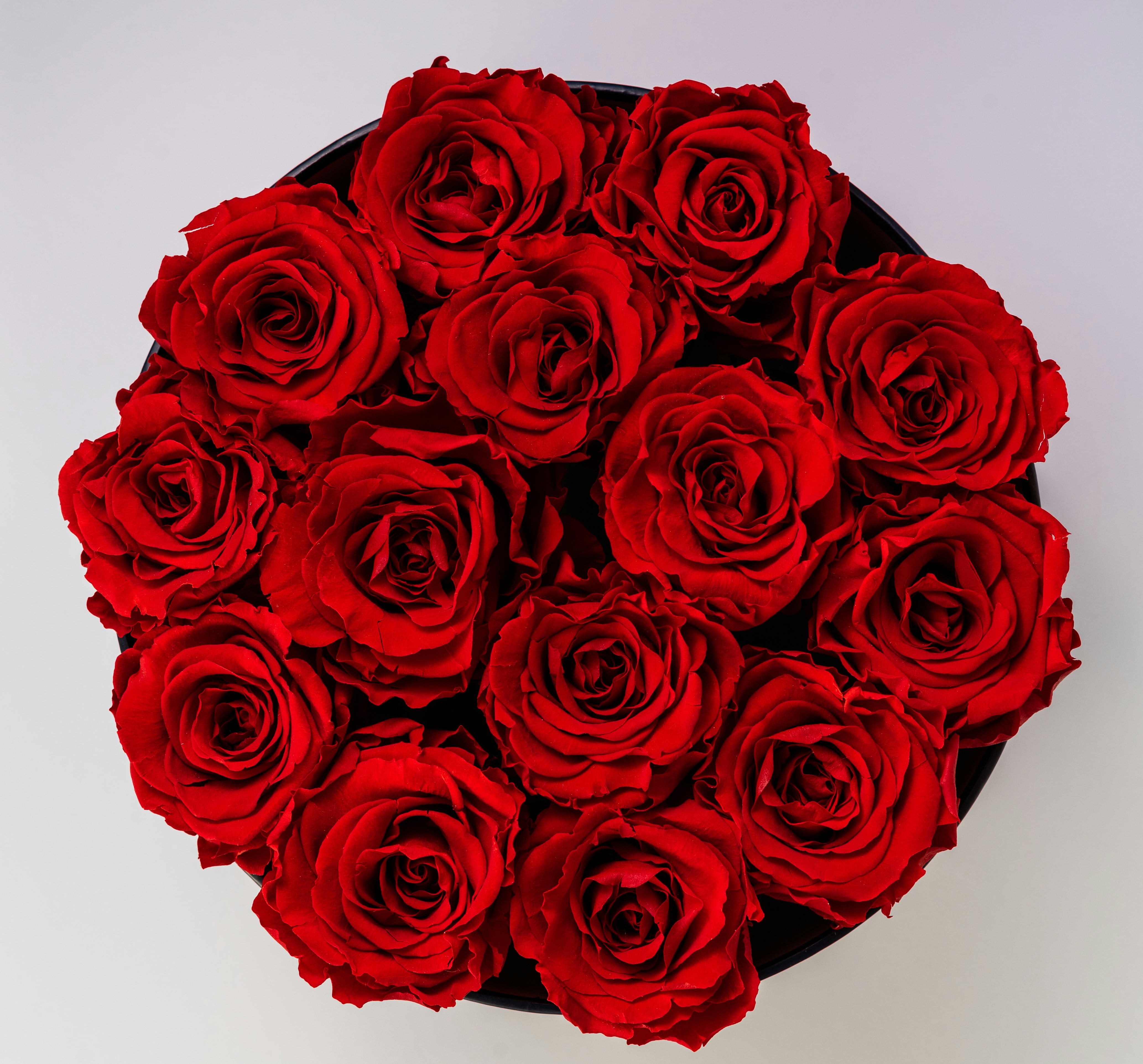 Rosas Rojas
