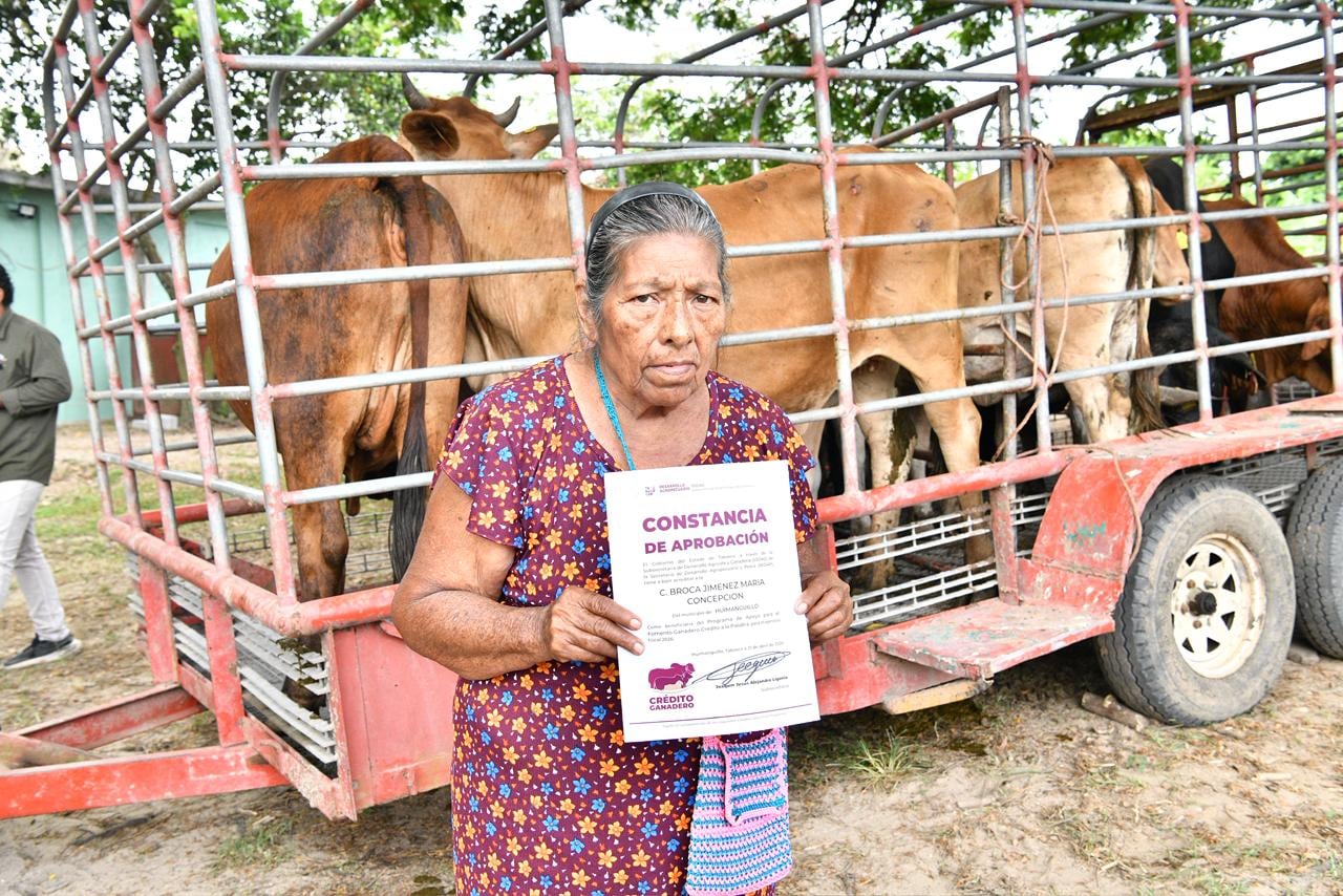 Tabasco proyecta entregar más de 7 mil novillonas y 700 sementales en 2026.