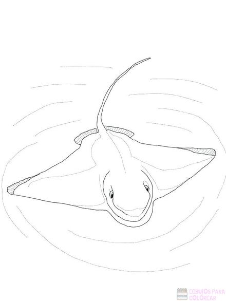 ¡Feliz Día de la Mantarraya! 8 dibujos para colorear e imprimir