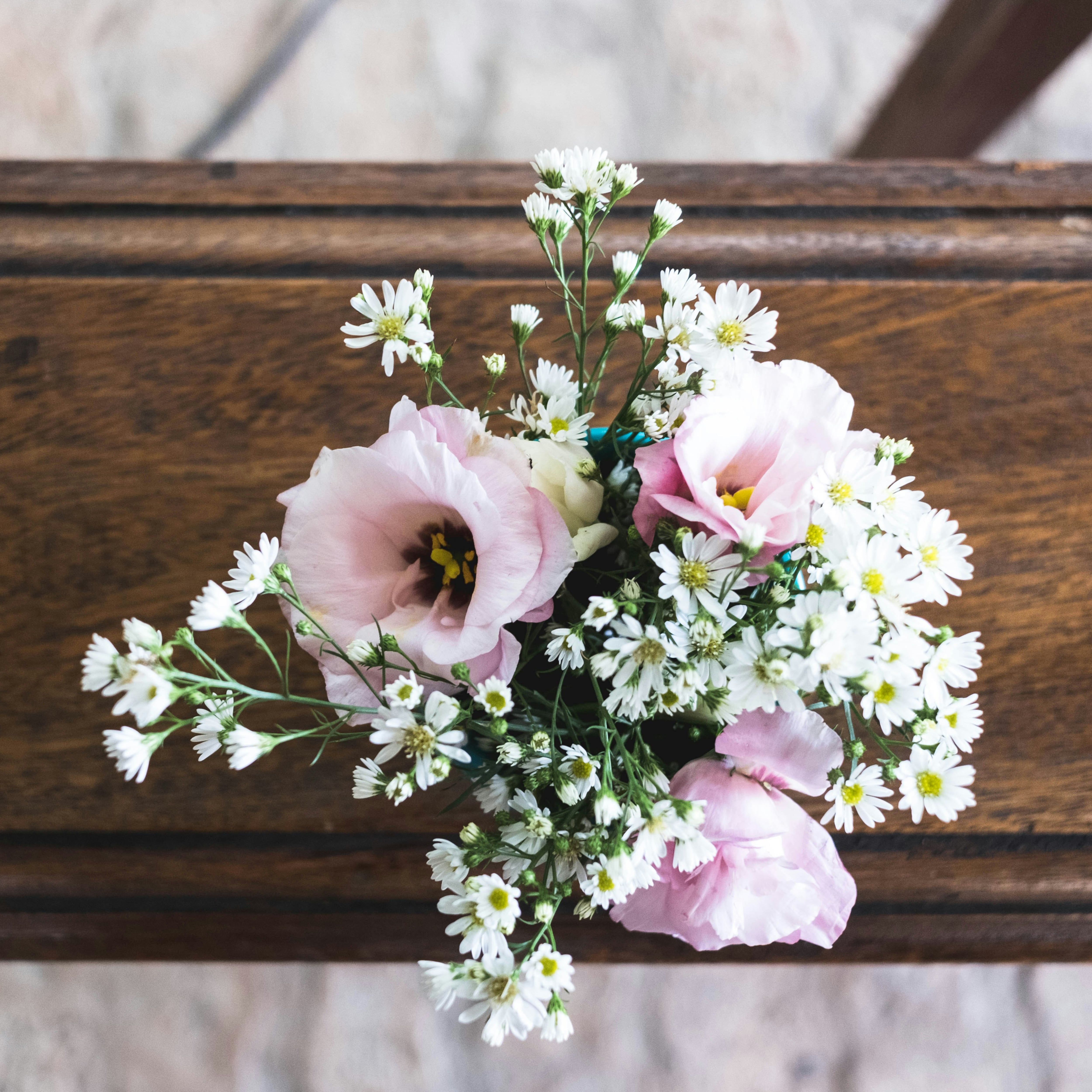 Escándalo funerario: dueño irá a prisión por ocultar 189 cuerpos y entregar cenizas falsas