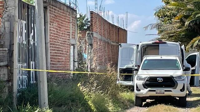 Perro cargaba pierna humana en el hocico y conduce a megafosa cladestina en Irapuato
