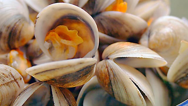 Cofepris lanza alerta en mariscos de Baja California