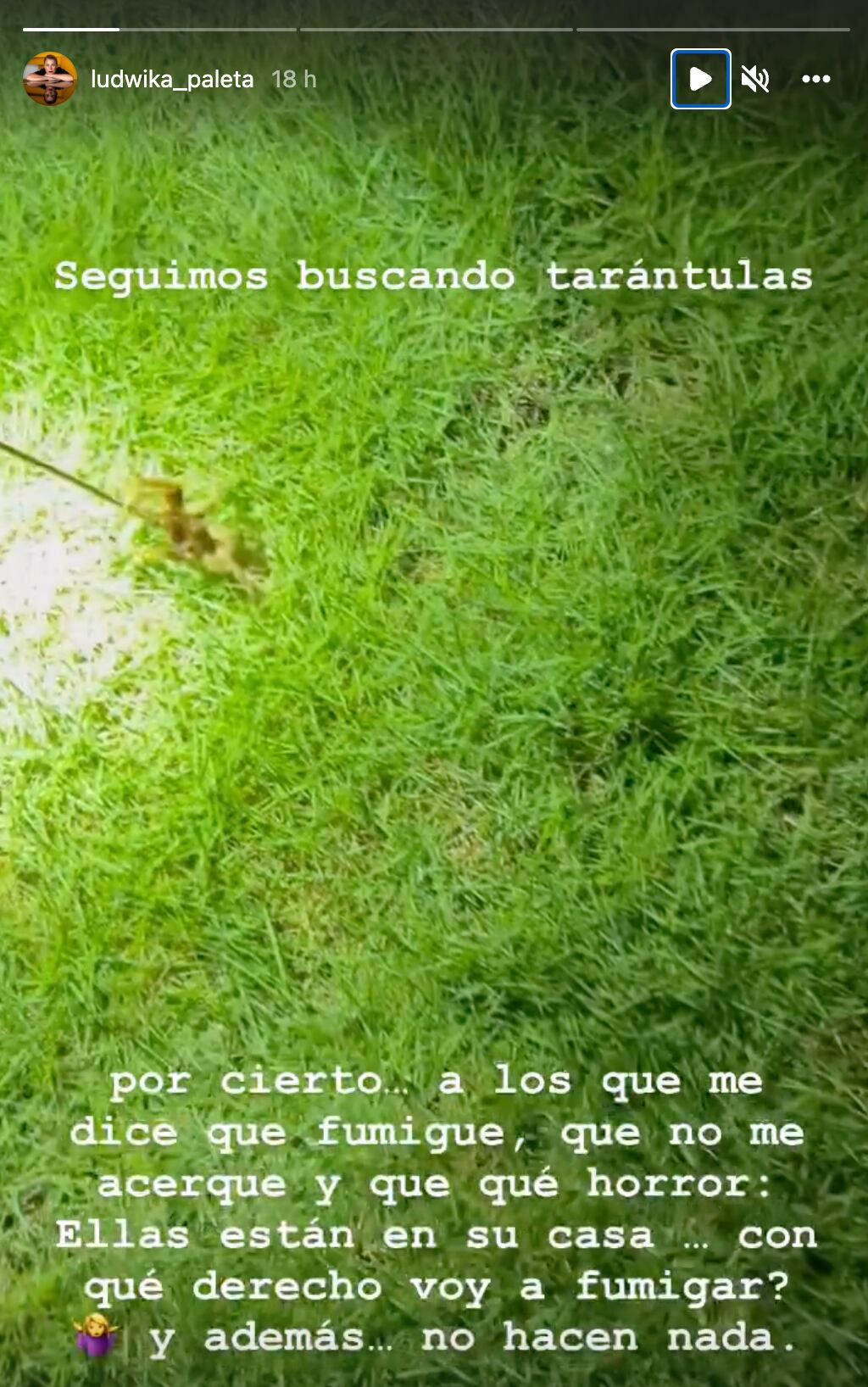 Ludwika Paleta defiende a las tarántulas de su casa