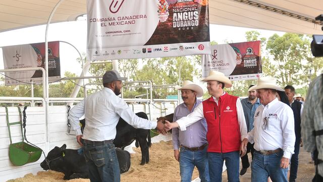 Durango se suma a reapertura de exportación de ganado a Estados Unidos