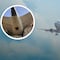 Lista de los accidentes aéreos más mortales del mundo; ¿el accidente de avión Air India se sumó al ranking?