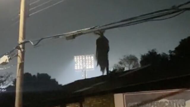 ¿Demonio de Jeepers Creepers o palmera?