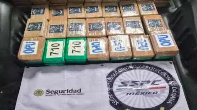 Decomisan en CDMX 217 kilos de cocaína