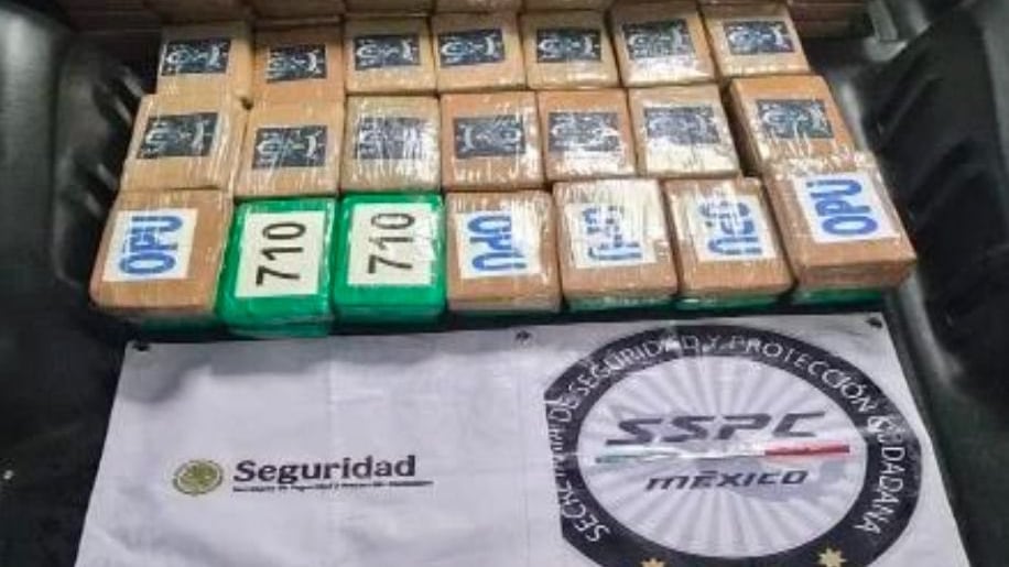 Harfuch reporta decomiso de 217 kilos de cocaína en operativo en CDMX