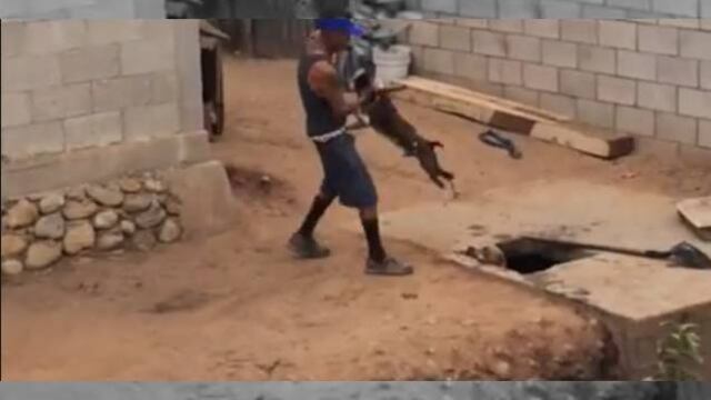 Nuevo caso de maltrato a perros, ahora en Tijuana (VIDEO)