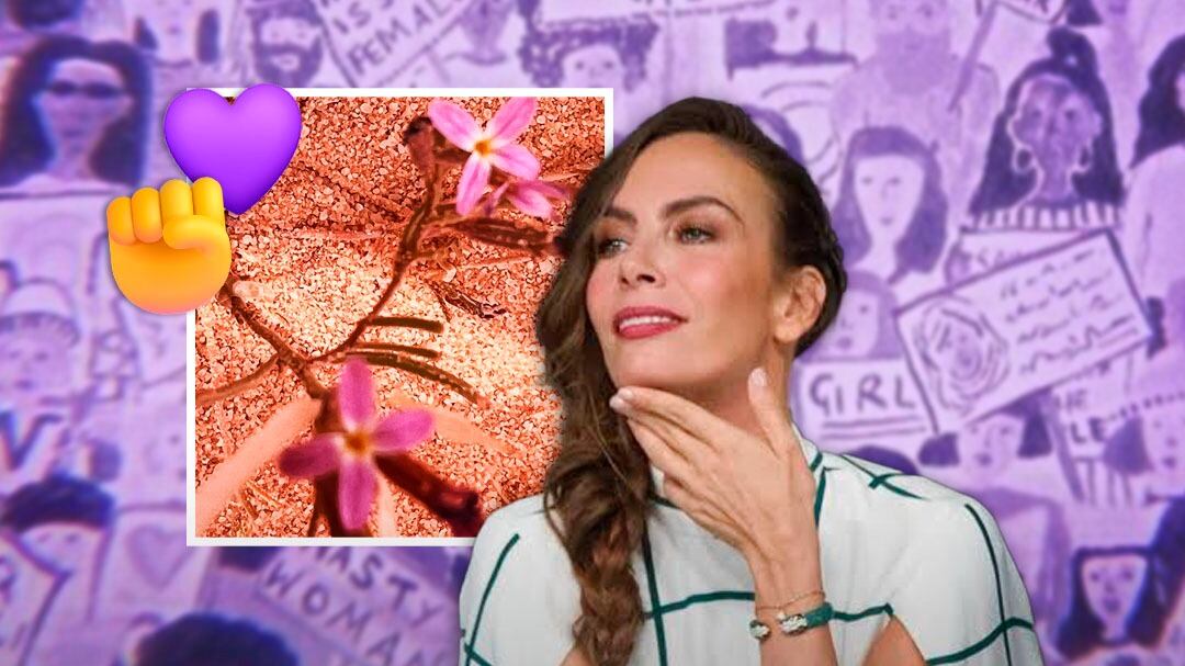 Sasha Sokol levanta la voz hoy 8 de marzo para recordar dónde está la “verdadera lucha” del Día Internacional de la Mujer