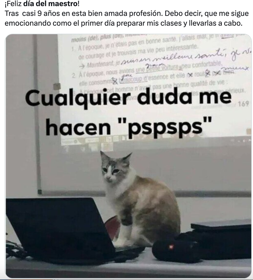 Memes festejan del Día del Maestro celebran este 15 de mayo
