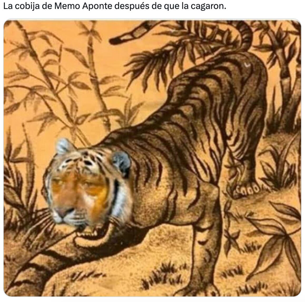 Memes funan a Memo Aponte tras lo revelado por sus ex novias con Un Tal Fredo