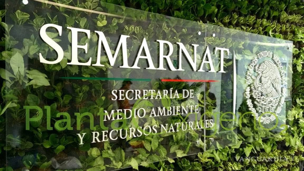 ¿Hackearon a Semarnat?