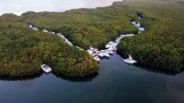 Veleros, yates y barcos se resguardan del huracán Beryl en los manglares de Cancún