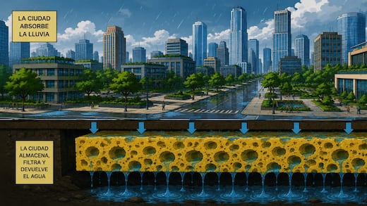 ¿Ciudades esponja? La necesidad urgente de urbes sustentables para el Estado de México