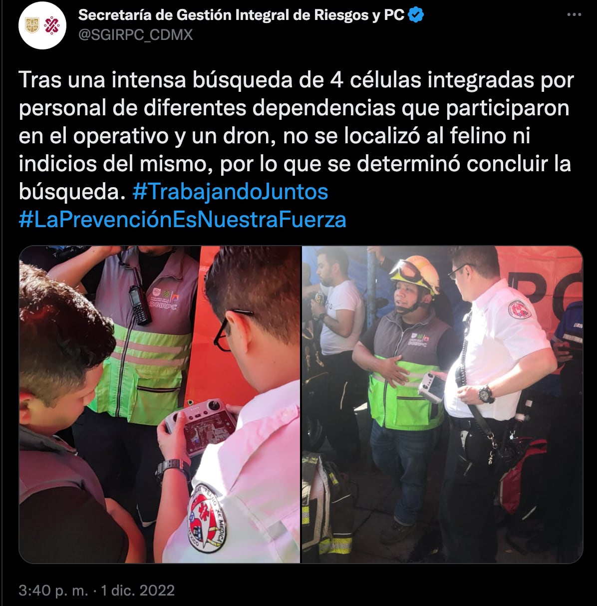 Una pantera anda suelta afuera de la estación Tacuba del Metro CDMX, reportan