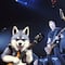 El perro fan de Metallica cuya foto se hizo viral en uno de sus conciertos