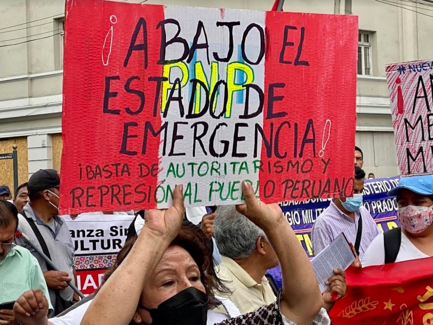 Protestas en Perú. Foto/Plácido Garza