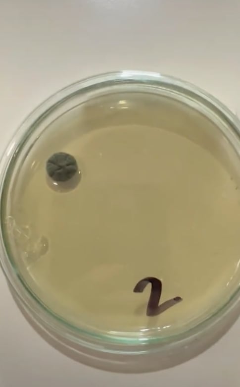 Experimento bacterias en Metro de la CDMX