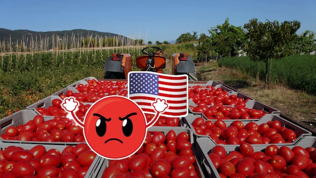 Productores de jitomate en México sobre aranceles