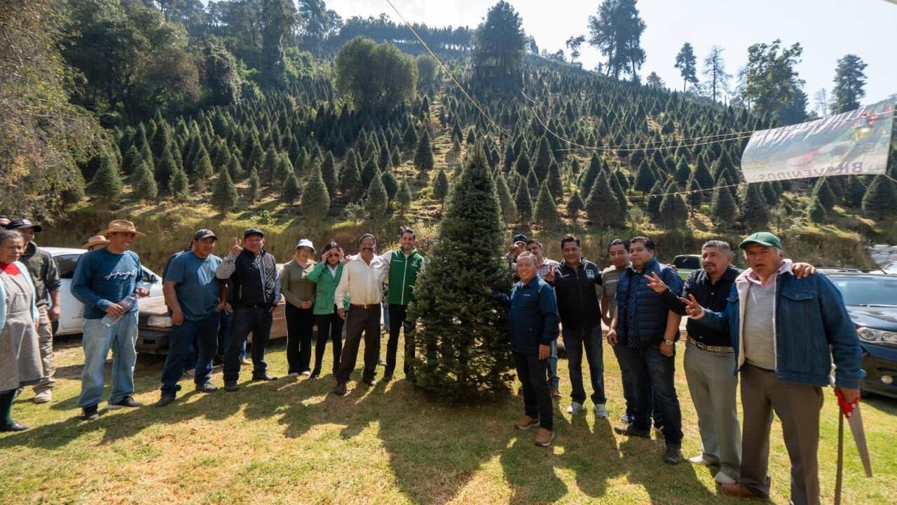 Pepe Couttolenc impulsa comercio de árboles navideños mexiquenses