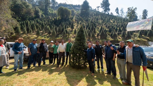 Pepe Couttolenc promueve la compra de árboles navideños autorizados en el Edomex.