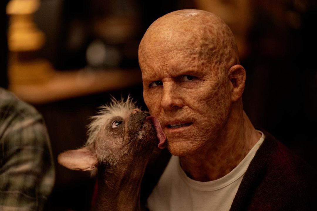 Dogpool será el nuevo personaje de Deadpool 3
