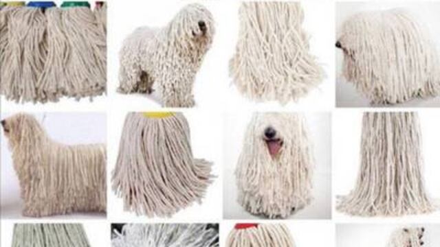 ¿Qué es lo que realmente ves?