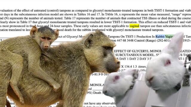 Experimentos con conejos o babuinas. Foto: Frida Gómez