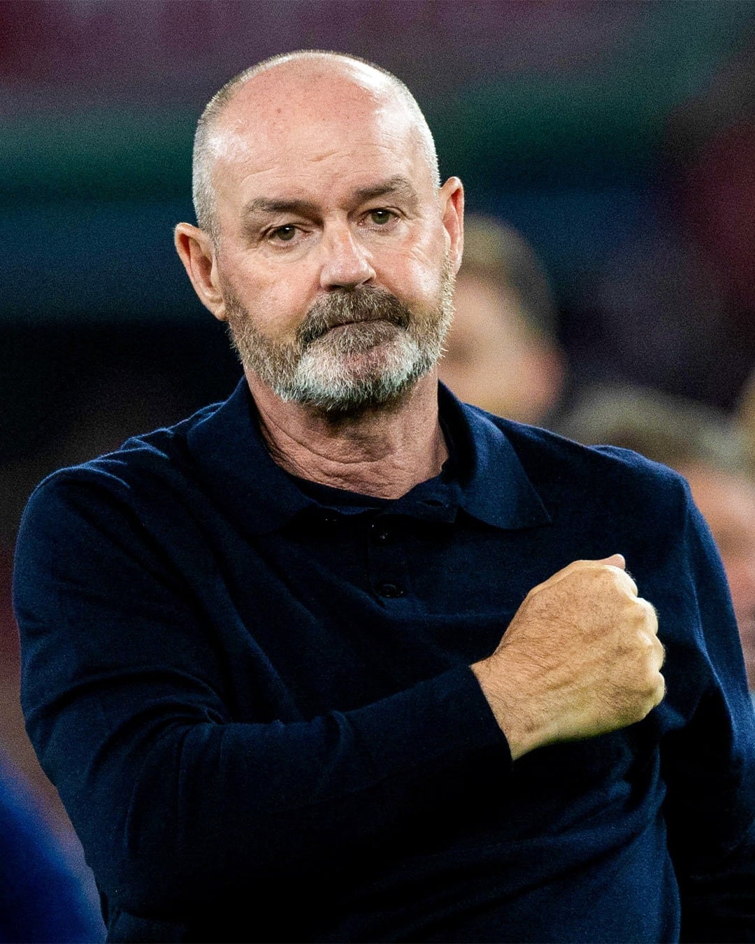 Steve Clarke, DT de Escocia