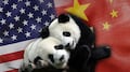 China enviará dos osos panda a Estados Unidos como gesto de amistad