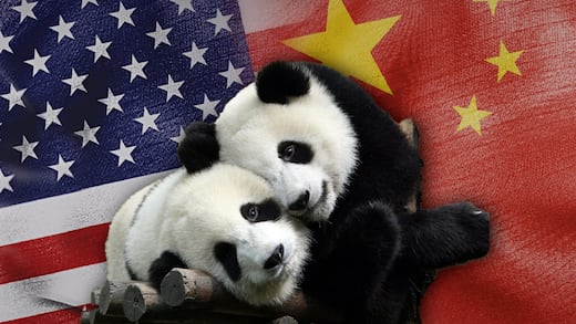 China enviará dos osos panda a Estados Unidos como gesto de amistad